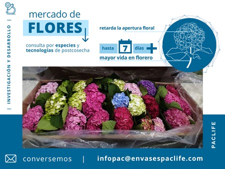 MERCADO DE FLORES, AUGE QUE DESAFÍA A LAS TECNOLOGÍAS POSTCOSECHA PARA SU EXPORTACIÓN